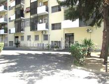 Appartamento in affitto a Roma Municipio Roma III