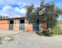 Villa in vendita a Montelibretti Colle Pizzuto
