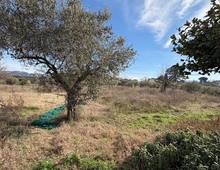 Foto Cometa 4 — Villa in vendita a Zagarolo