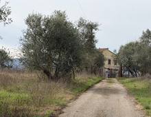 Foto Cometa 18 — Villa in vendita a Zagarolo