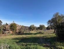 Foto Cometa 14 — Casa indipendente in vendita a San Cesareo