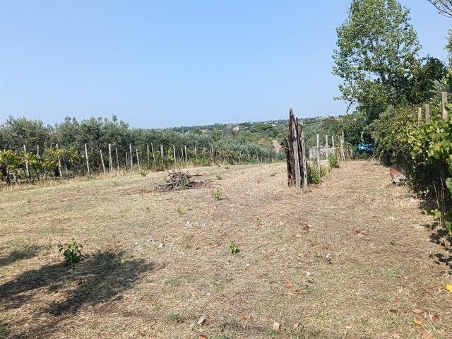 Terreno Agricolo Lanuvio
