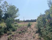 Foto Cometa 5 — Terreno agricolo in vendita a Lanuvio
