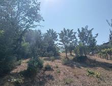 Foto Cometa 10 — Terreno agricolo in vendita a Lanuvio