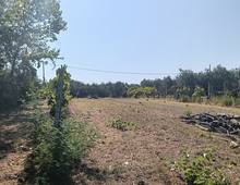 Foto Cometa 12 — Terreno agricolo in vendita a Lanuvio