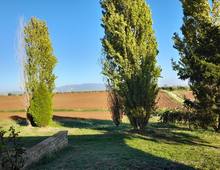 Foto Cometa 6 — Rustico / casale in vendita a Velletri