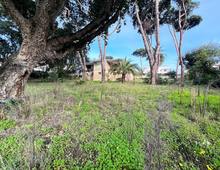 Villa in vendita a Anzio Lavinio