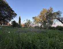 Foto Cometa 7 — Terreno edificabile in vendita a Velletri