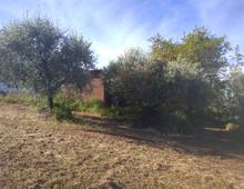 Foto Cometa 7 — Terreno agricolo in vendita a Lanuvio