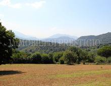 Altro in vendita a Cassino Caira