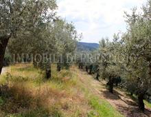 Altro in vendita a Cassino Caira