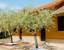 Villa in vendita a Roma Riserva Naturale della Marcigliana