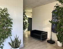 Büro zu vermieten in Rom