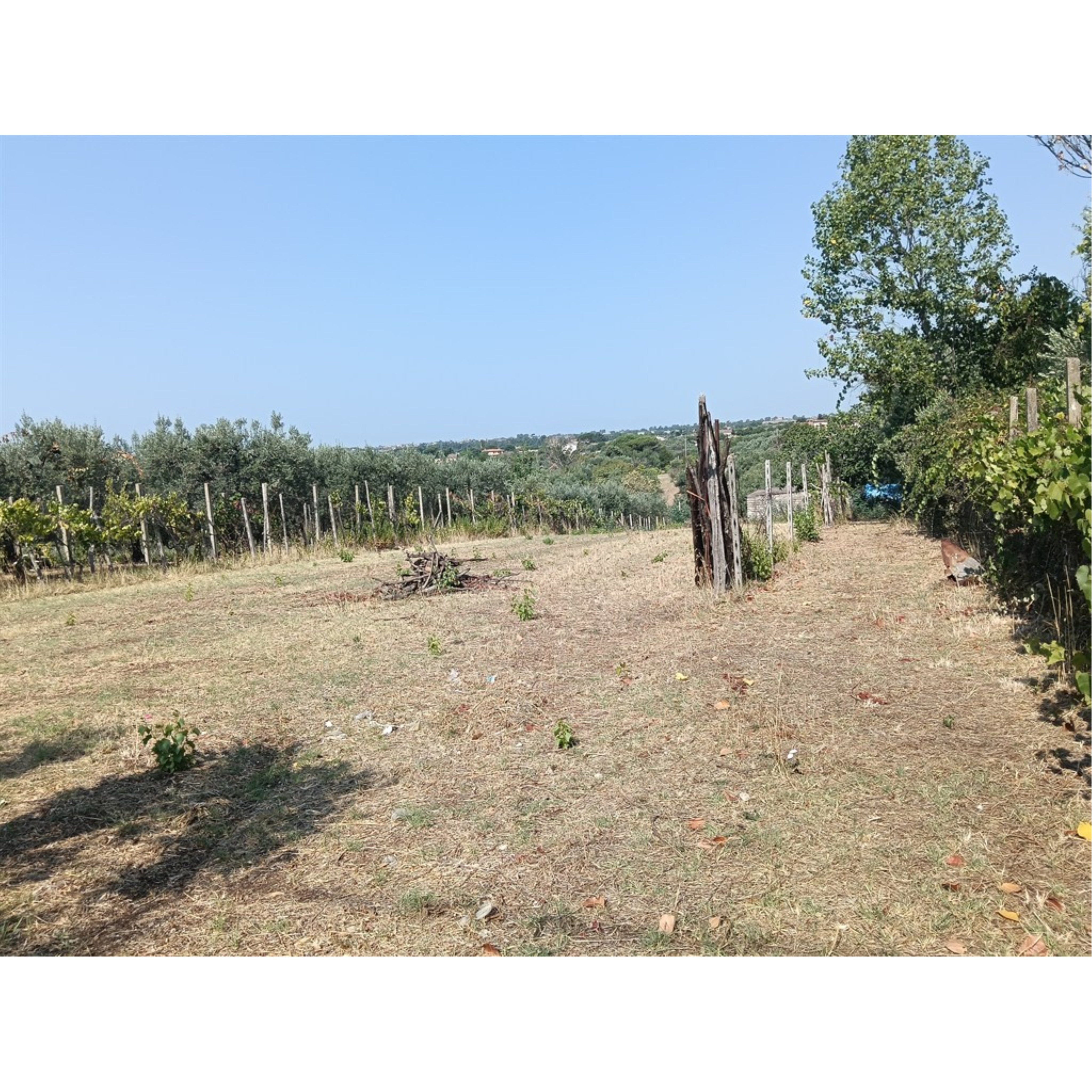Foto Cometa 1 — Land for sale in Lanuvio Stragonello