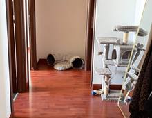 Appartamento in vendita a Roma Spinaceto