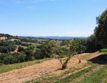 Altro in vendita a Manciano San Martino sul Fiora
