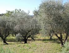 Detached house for sale in Palaia Usiglian Del Vescovo