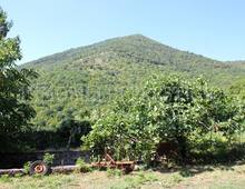 Altro in vendita a Cassino Caira