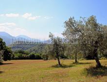 Altro in vendita a Cassino Caira