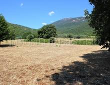 Altro in vendita a Cassino Caira
