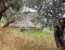 Altro in vendita a Cassino Caira