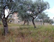 Altro in vendita a Cassino Caira