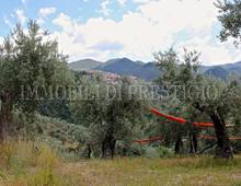 Altro in vendita a Cassino Caira