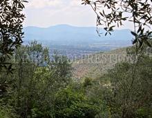 Altro in vendita a Cassino Caira