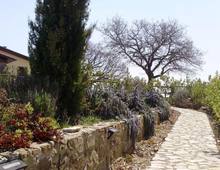 Villa in vendita a Scansano