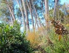 Villa in vendita a Sacrofano