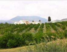 Villa in vendita a Caltagirone