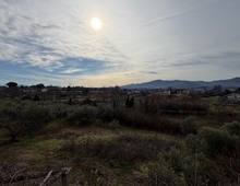 Foto Cometa 7 — Villa in vendita a Zagarolo