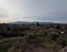 Foto Cometa 10 — Villa in vendita a Zagarolo