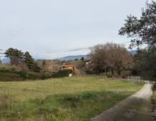 Foto Cometa 17 — Villa in vendita a Zagarolo