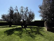 Foto Cometa 37 — Villa bifamiliare in vendita a Albano Laziale