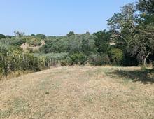 Foto Cometa 7 — Terreno agricolo in vendita a Lanuvio
