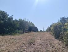 Foto Cometa 11 — Terreno agricolo in vendita a Lanuvio