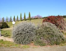 Villa in vendita a Trevignano Romano Monte La Guardia