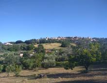 Foto Cometa 12 — Terreno agricolo in vendita a Lanuvio