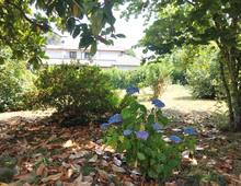 Villa en venta en Ronciglione