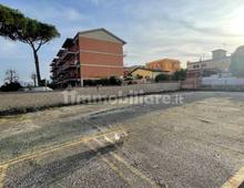 Altro in vendita a Roma Borghesiana - Valle Fiorita