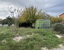 Foto Cometa 8 — Terreno agricolo in vendita a Albano Laziale