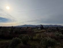 Foto Cometa 12 — Villa in vendita a Zagarolo