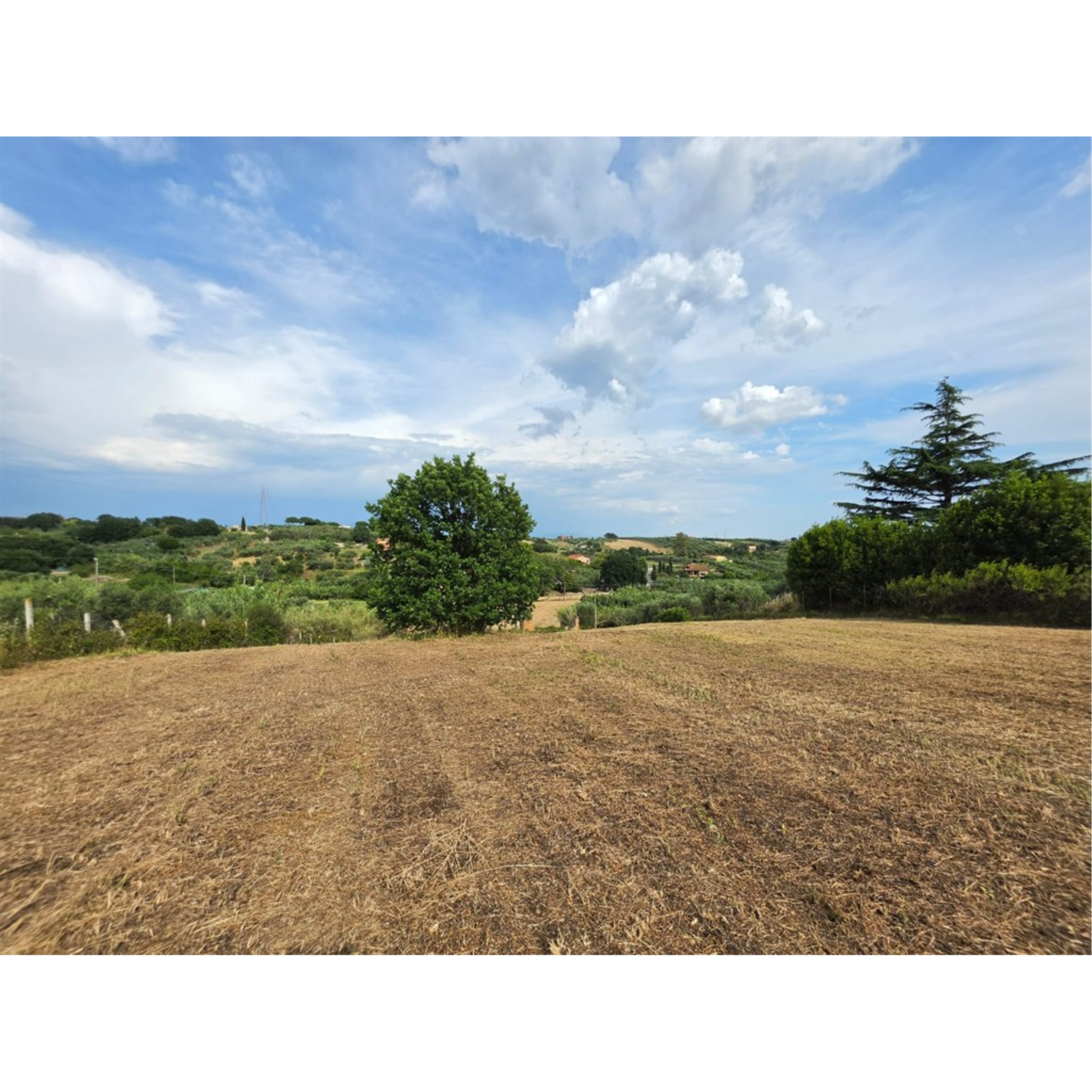 Foto Cometa 1 — Terrain à vendre à Lanuvio