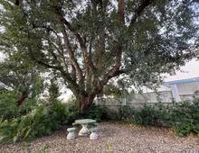 Villa in vendita a Anzio Lavinio