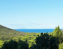 Villa in vendita a Castiglione della Pescaia Punta Ala