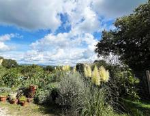 Villa à vendre à Scansano Scansano - Cantine Morellino