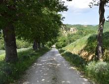 Altro in vendita a Manciano San Martino sul Fiora