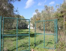 Maison individuelle à vendre à Palaia Usiglian Del Vescovo