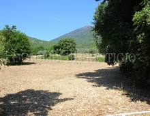 Altro in vendita a Cassino Caira